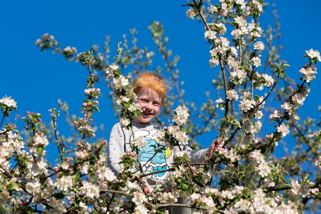 Zaisslhaeusl Hof Ferienwohnungen Ubersee Bagian luar foto